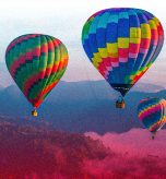 PHOENIX_DESCUBRE_TU_PROPOSITO