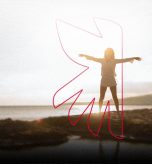 phoenix_planificacion_personal